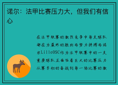 诺尔：法甲比赛压力大，但我们有信心