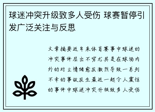 球迷冲突升级致多人受伤 球赛暂停引发广泛关注与反思